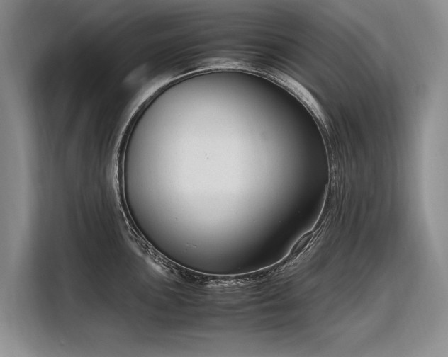 X0000108481051200904091433