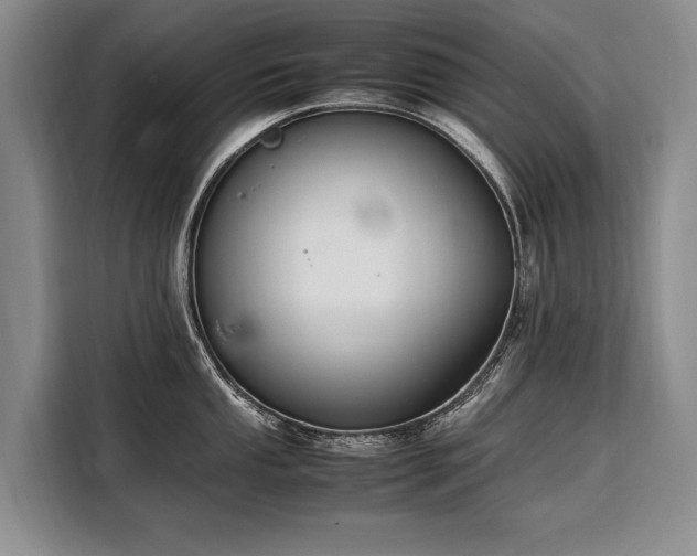 X0000108481053200904091433