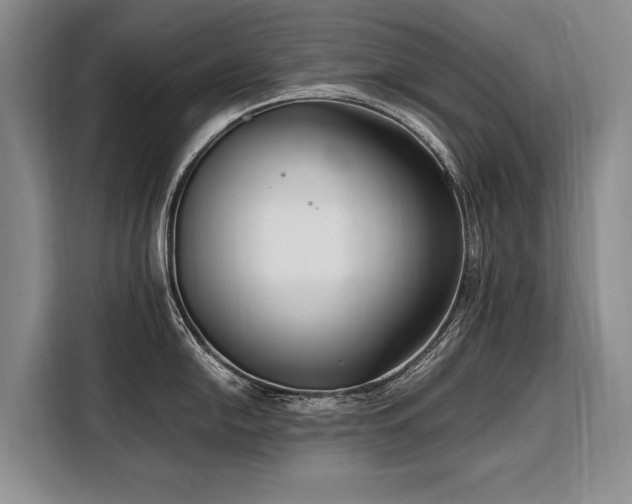 X0000108481054200904091433