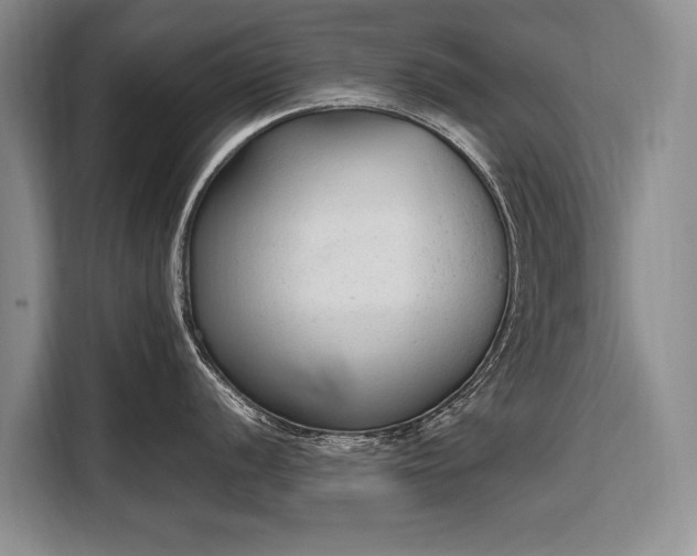 X0000108481056200904091433
