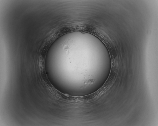 X0000108481058200904091433