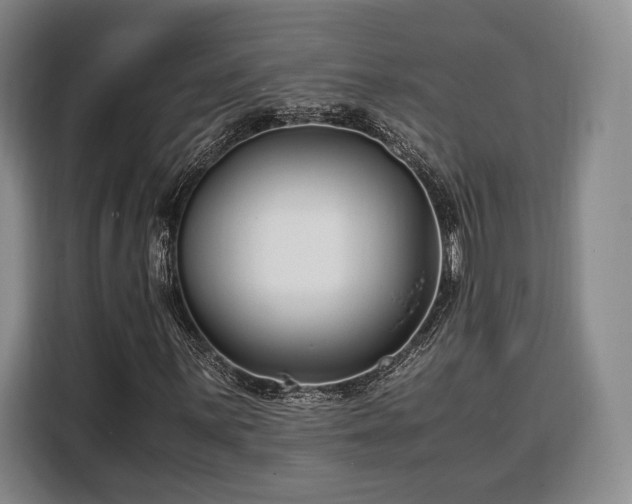 X0000108481059200904091433