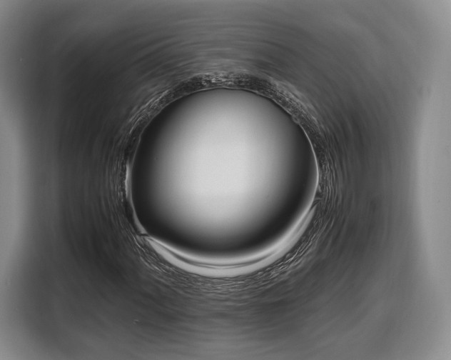 X0000108481060200904091433