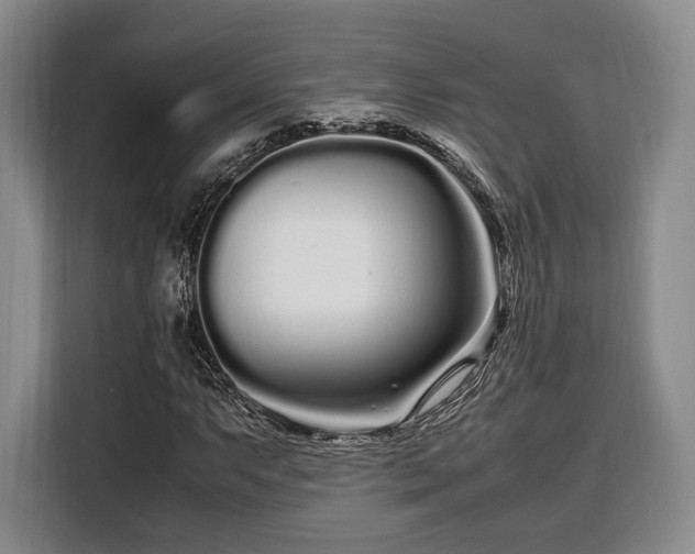 X0000108481063200904091433