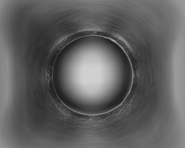 X0000108481064200904091433