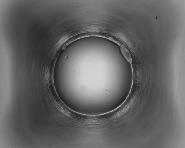 X0000108481065200904091433