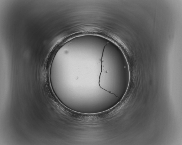 X0000108481067200904091433