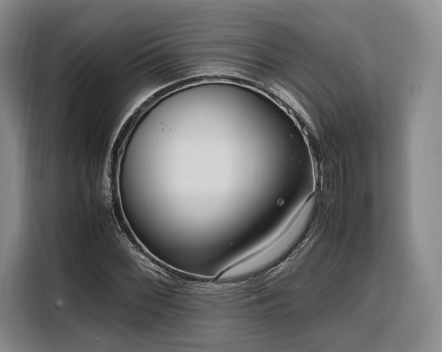 X0000108481068200904091433
