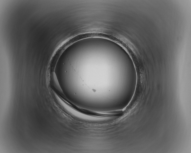 X0000108481069200904091433
