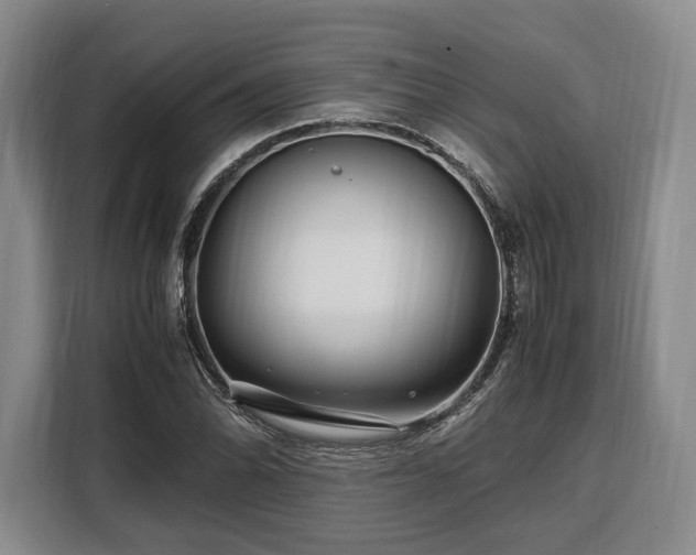 X0000108481070200904091433