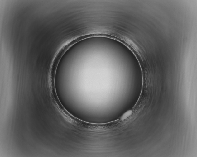 X0000108481072200904091433