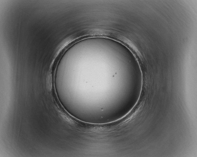 X0000108481075200904091432