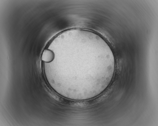 X0000108481078200904091432
