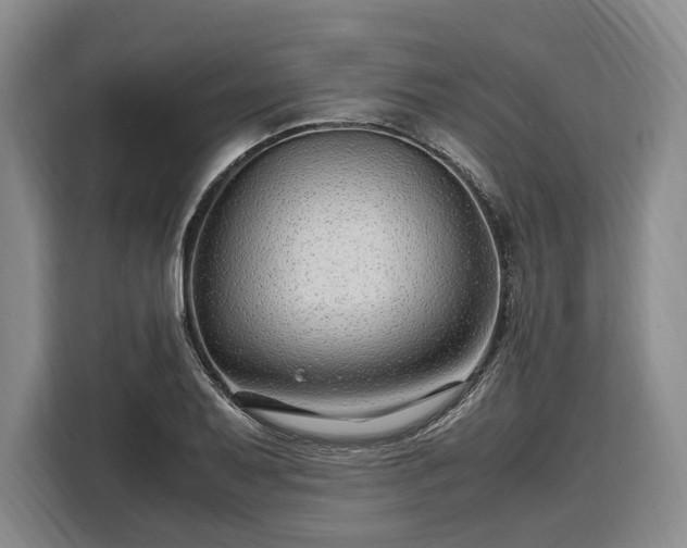 X0000108481079200904091432