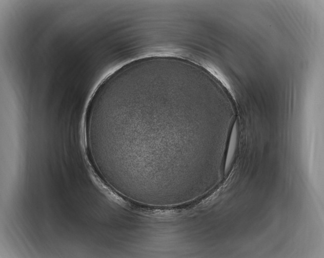 X0000108481080200904091432