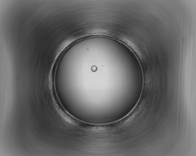 X0000108481082200904091432