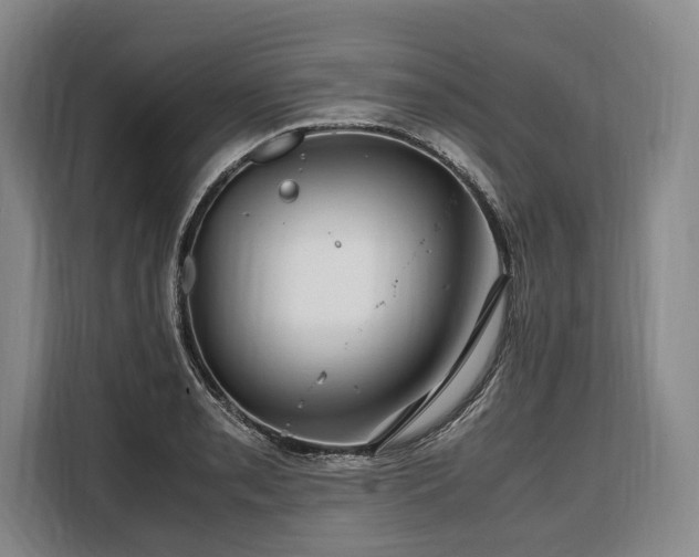 X0000108481085200904091432