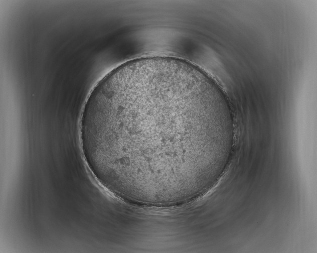 X0000108481086200904091432