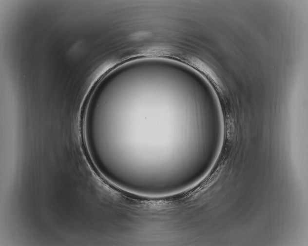 X0000108481087200904091432