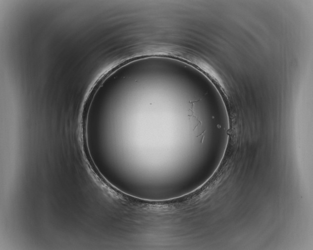 X0000108481088200904091432
