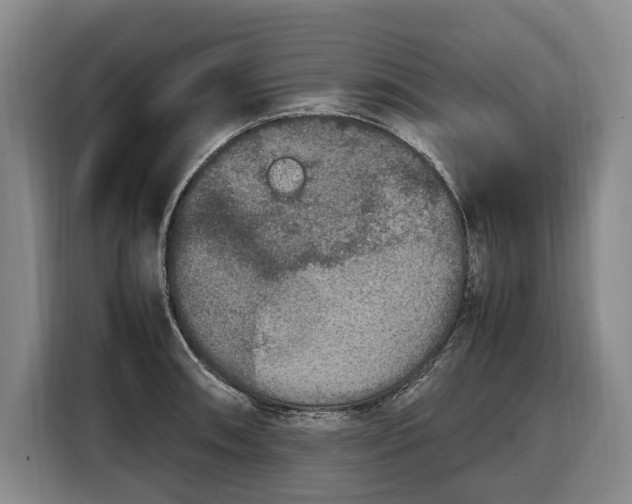 X0000108481090200904091432