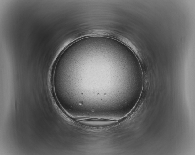 X0000108481091200904091432