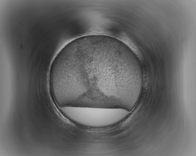 X0000108481094200904091432