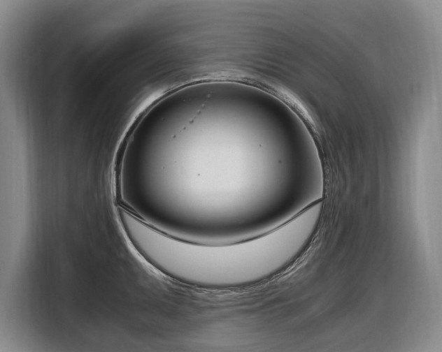 X0000108481095200904091432