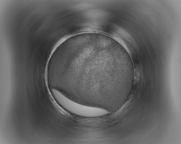 X0000108481098200904091432