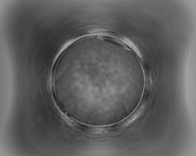 X0000108481101200904091432