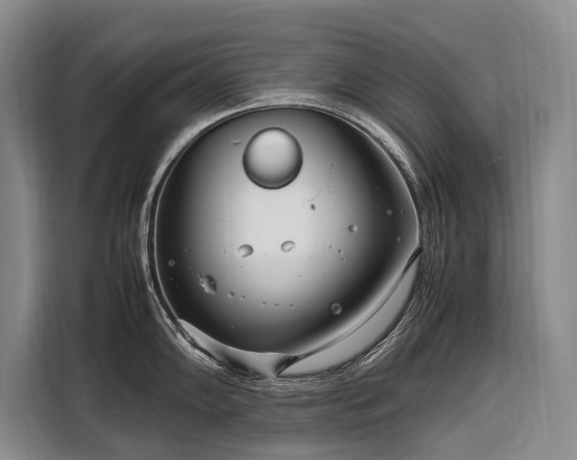 X0000108481102200904091432