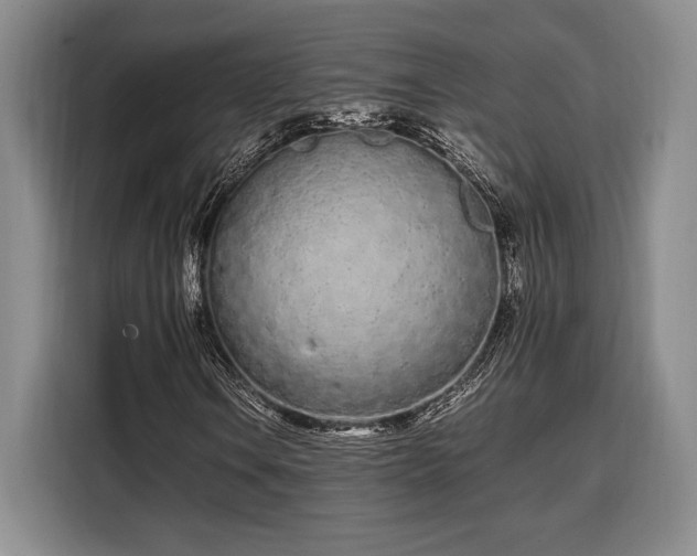 X0000108481106200904091431