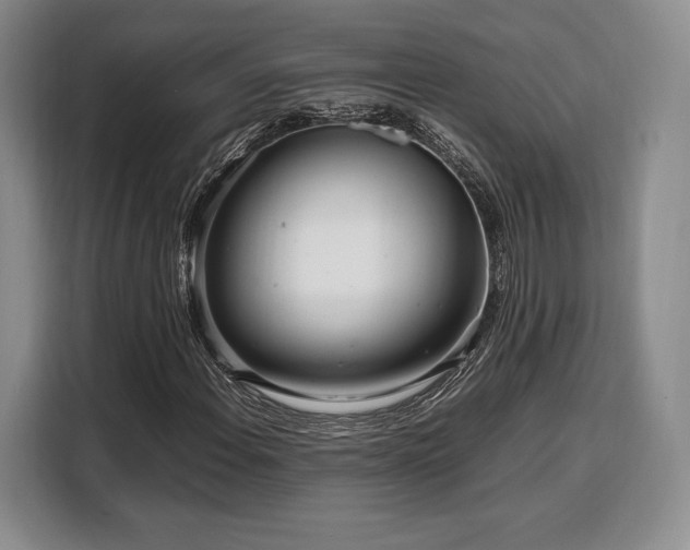 X0000108481108200904091432