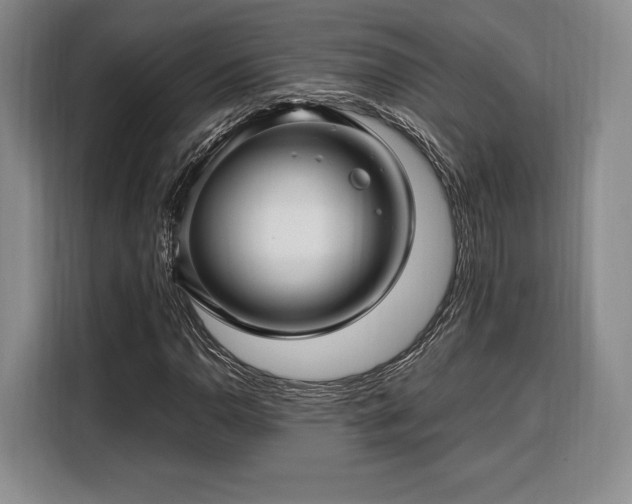X0000108481110200904091432