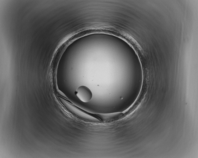 X0000108481114200904091432