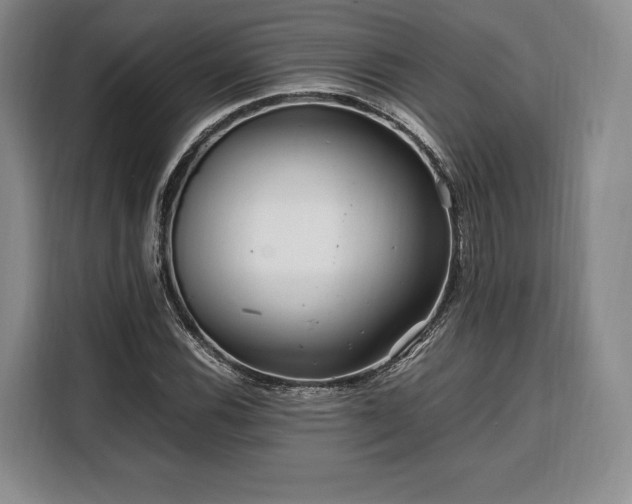X0000108481116200904091432