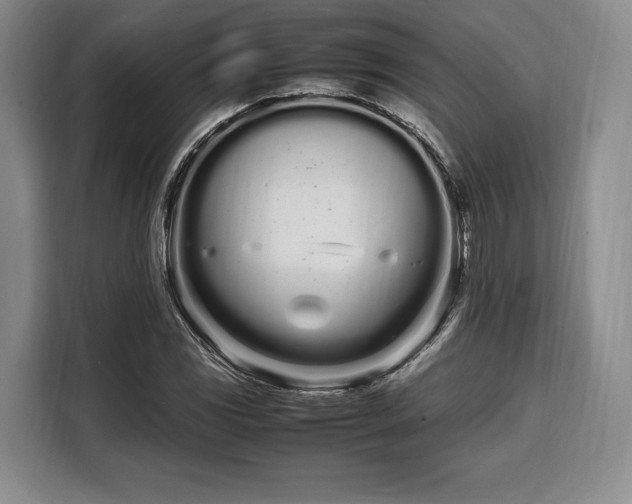 X0000108481117200904091432