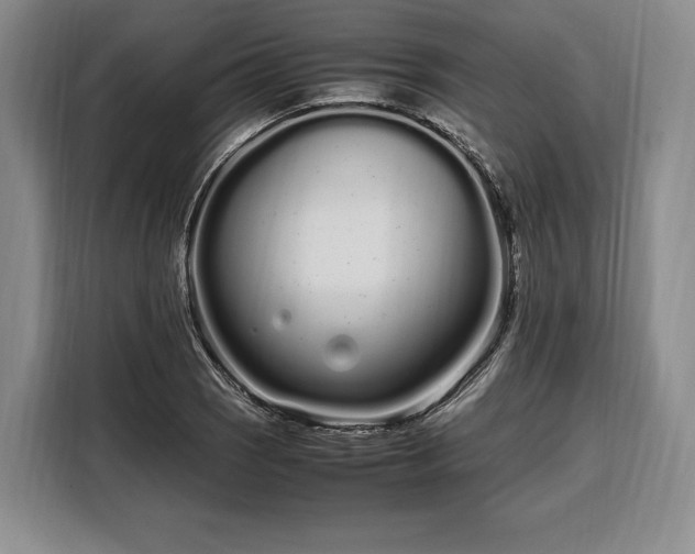 X0000108481121200904091432