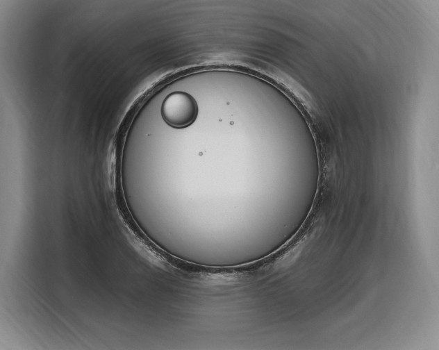 X0000108481126200904091432