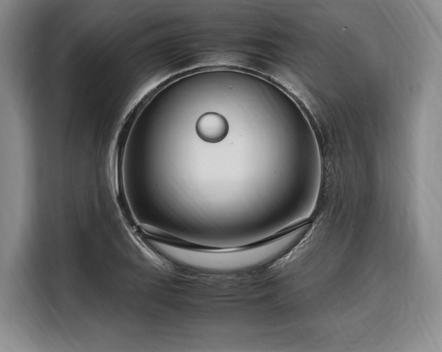 X0000108481127200904091432