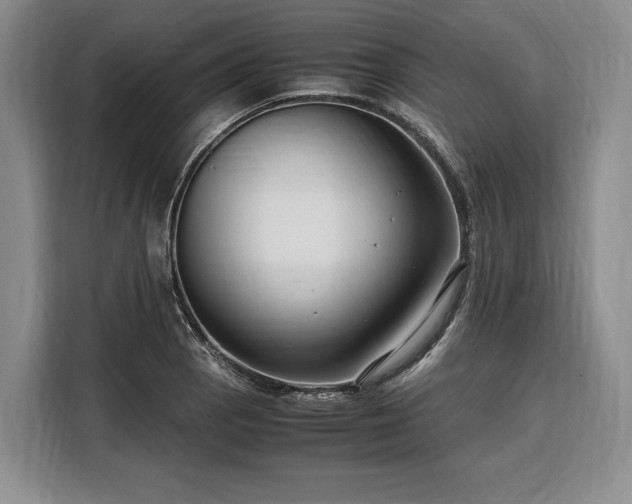 X0000108481129200904091432