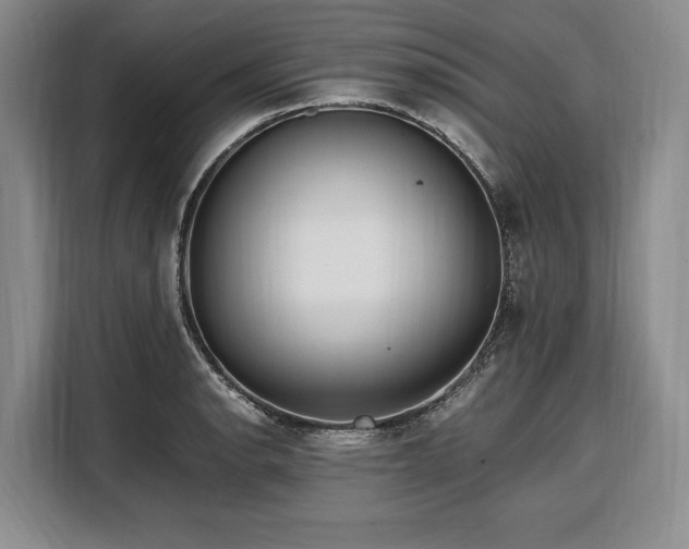 X0000108481134200904091432