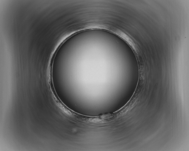 X0000108481140200904091432