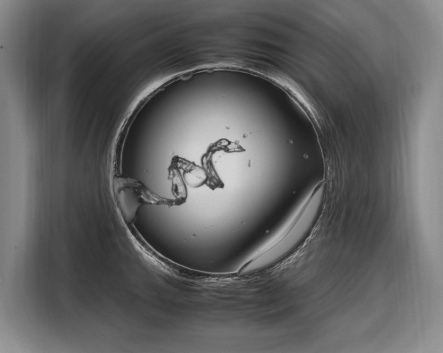 X0000108481143200904091432