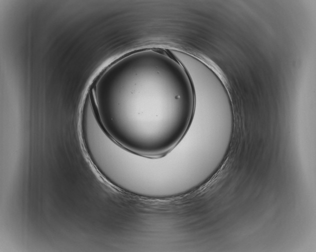 X0000108481144200904091432