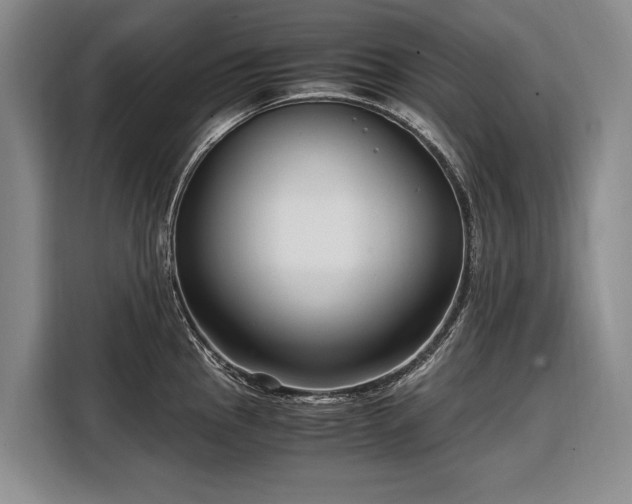 X0000108481145200904091432