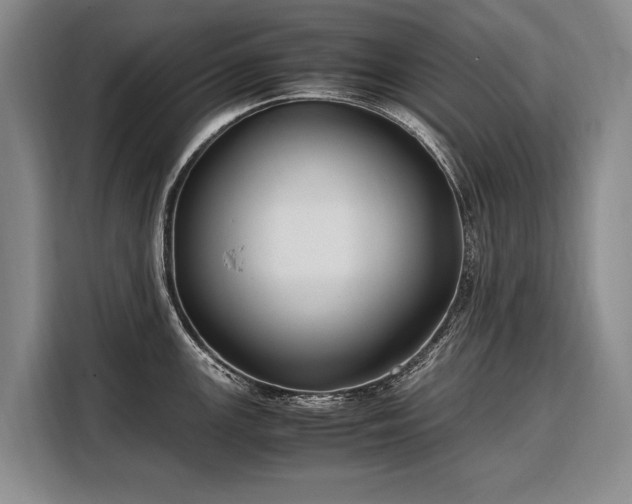X0000108481147200904091432