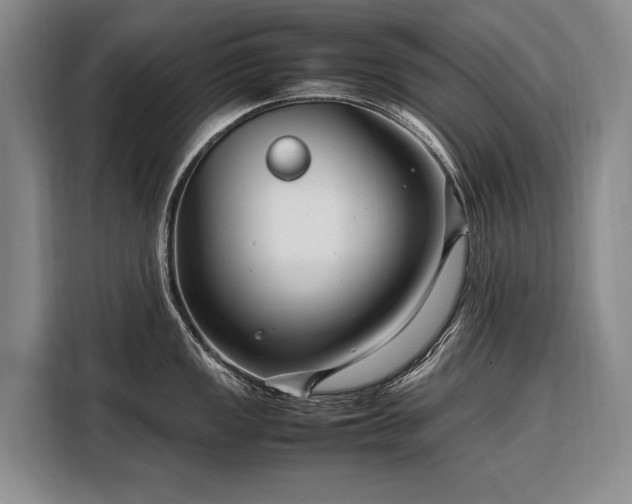 X0000108481149200904091432