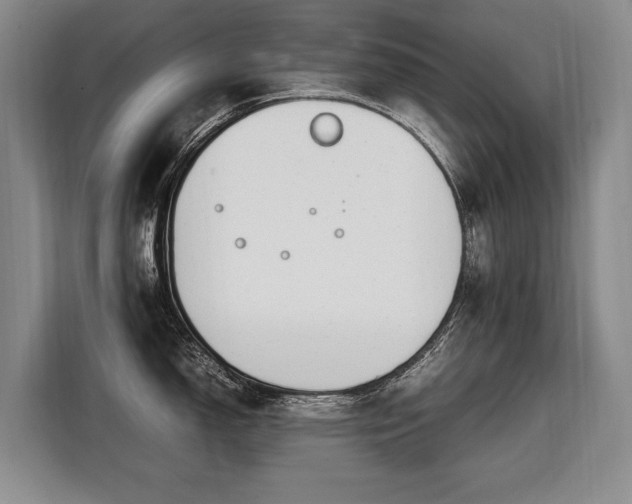 X0000108481150200904091432