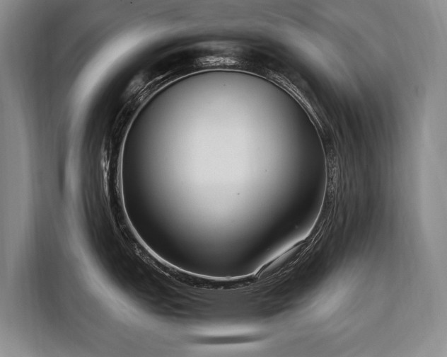 X0000108481151200904091432
